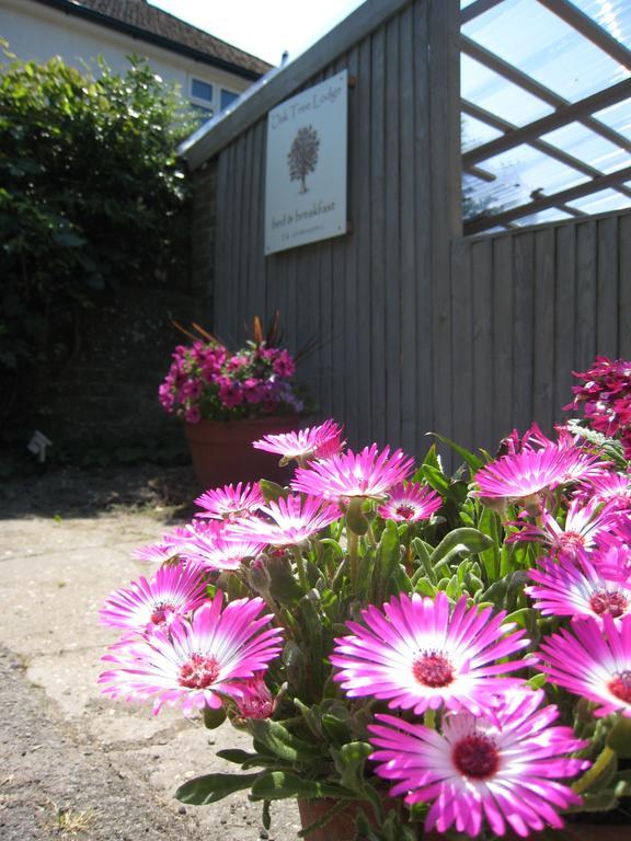 Oak Tree Lodge & Holiday Parking Burstow Екстериор снимка
